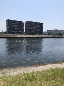 鶴見川